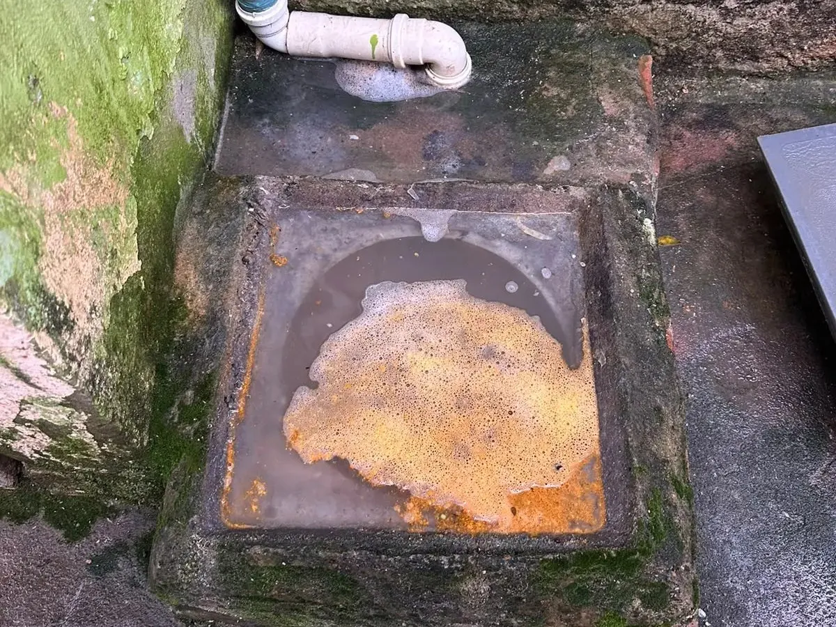 Limpeza de Caixa de Gordura